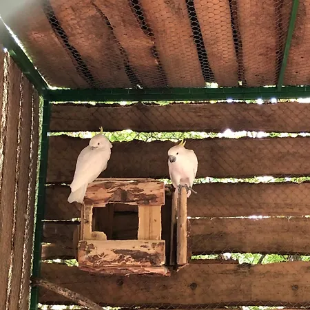 Tessa Met Dakterras En Zeezicht Airco Wifi En Zwembad Apartment *